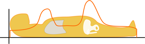 Tube current modulation