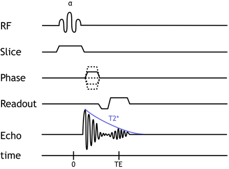 GRE Pulse Sequence